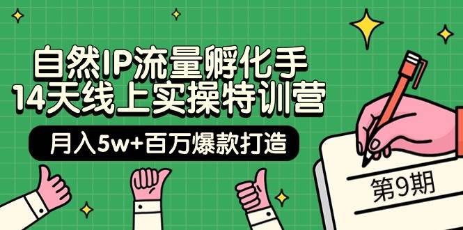 自然IP流量孵化手 14天线上实操特训营【第9期】月入5w+百万爆款打造 (74节)_思维有课