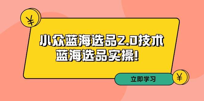 拼多多培训第33期：小众蓝海选品2.0技术-蓝海选品实操！_思维有课