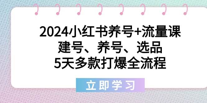 2024小红书养号+流量课：建号、养号、选品，5天多款打爆全流程_思维有课