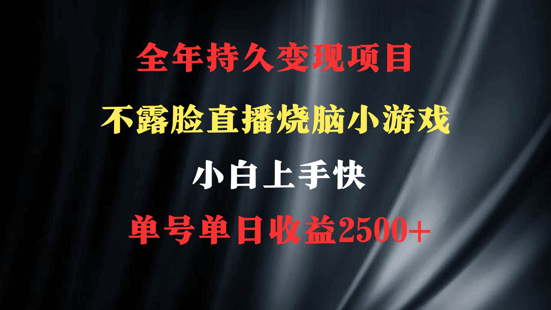 2024年 最优项目，烧脑小游戏不露脸直播  小白上手快 无门槛 一天收益2500+_思维有课