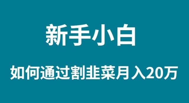 新手小白如何通过割韭菜月入 20W_思维有课