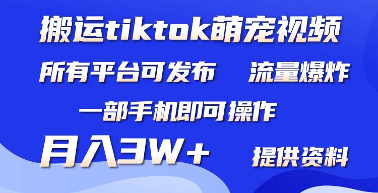 搬运Tiktok萌宠类视频，一部手机即可。所有短视频平台均可操作，月入3W+_思维有课