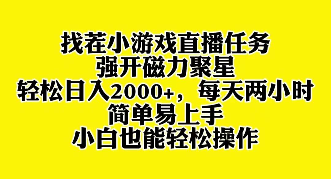 找茬小游戏直播，强开磁力聚星，轻松日入2000+，小白也能轻松上手_思维有课