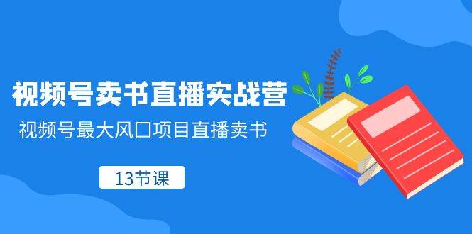 视频号-卖书直播实战营，视频号最大风囗项目直播卖书（13节课）_思维有课