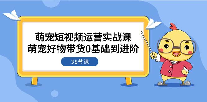 萌宠·短视频运营实战课：萌宠好物带货0基础到进阶（38节课）_思维有课