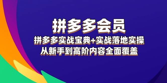 拼多多 会员，拼多多实战宝典+实战落地实操，从新手到高阶内容全面覆盖_思维有课