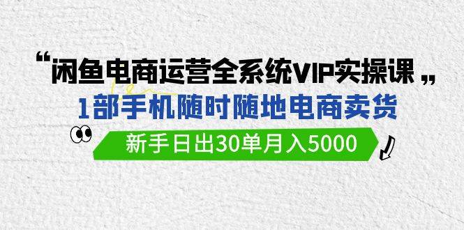 闲鱼电商运营全系统VIP实战课，1部手机随时随地卖货，新手日出30单月入5000_思维有课