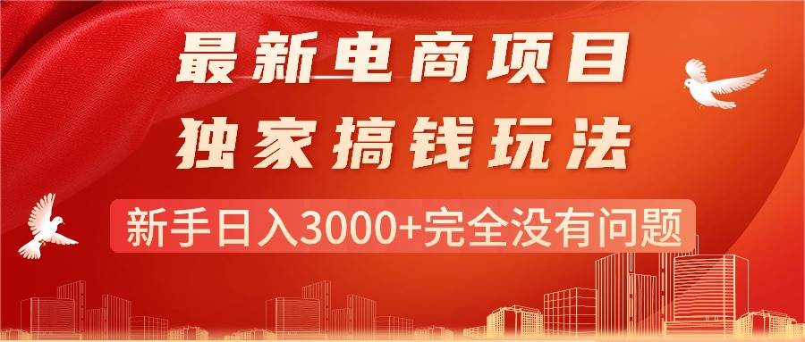 最新电商项目-搞钱玩法，新手日入3000+完全没有问题_思维有课