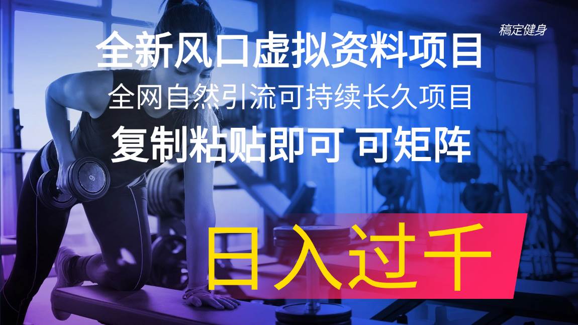 全新风口虚拟资料项目 全网自然引流可持续长久项目 复制粘贴即可可矩阵…_思维有课