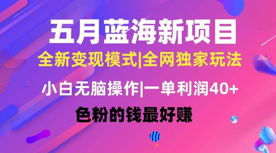 五月蓝海项目全新玩法，小白无脑操作，一天几分钟，矩阵操作，月入4万+_思维有课