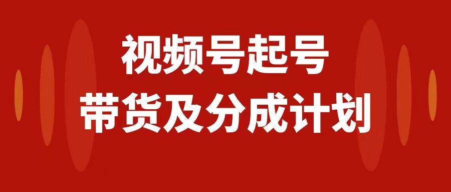 视频号快速起号，分成计划及带货，0-1起盘、运营、变现玩法，日入1000+_思维有课