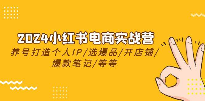 2024小红书电商实战营，养号打造IP/选爆品/开店铺/爆款笔记/等等（24节）_思维有课