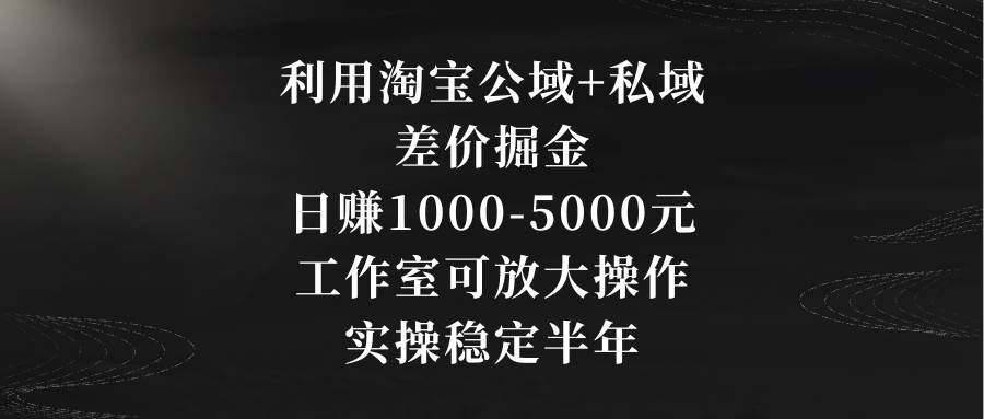 利用淘宝公域+私域差价掘金，日赚1000-5000元，工作室可放大操作，实操…_思维有课