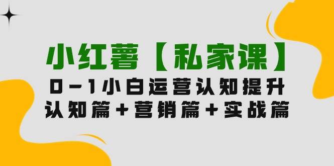 小红薯【私家课】0-1玩赚小红书内容营销，认知篇+营销篇+实战篇（11节课）_思维有课