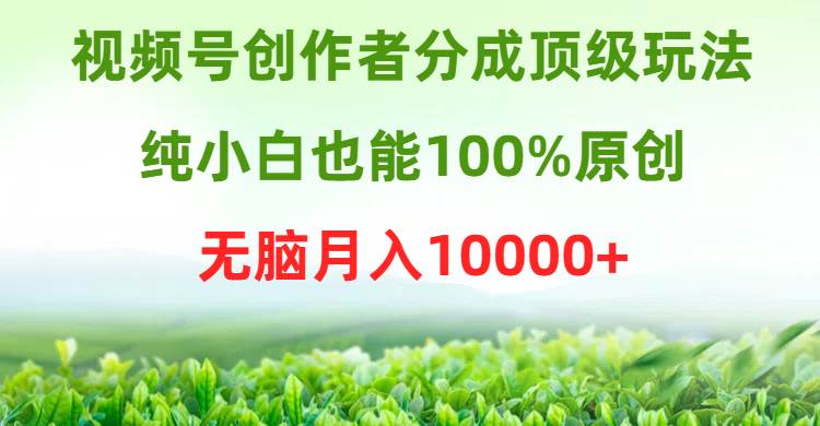 视频号创作者分成顶级玩法，纯小白也能100%原创，无脑月入10000+_思维有课