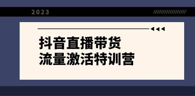 抖音直播带货-流量激活特训营，入行新手小白主播必学（21节课+资料）_思维有课