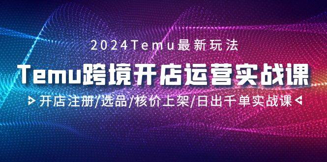 2024Temu跨境开店运营实战课，开店注册/选品/核价上架/日出千单实战课_思维有课