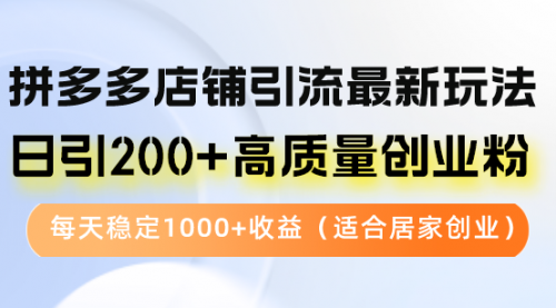 拼多多店铺引流最新玩法，日引200+高质量创业粉_思维有课