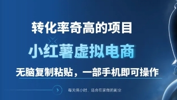 一单49.9，转化率奇高的项目，冷门暴利的小红书虚拟电商_思维有课