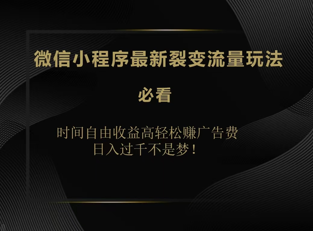 微信小程序最新裂变流量玩法，时间自由收益高轻松赚广告费，日入200-500+_思维有课