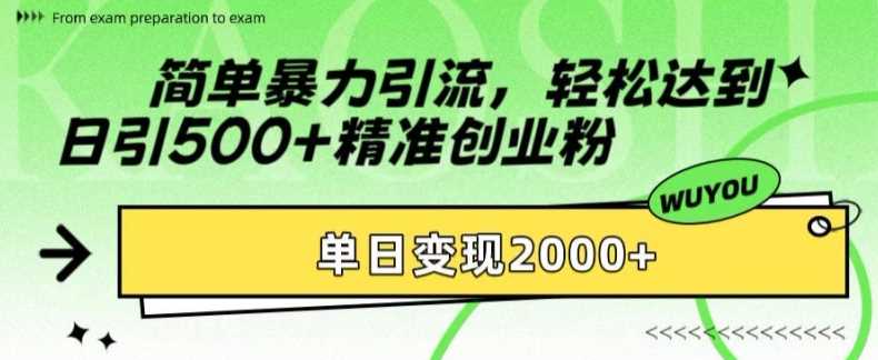 简单暴力引流轻松达到日引500+精准创业粉，单日变现2k【揭秘】_思维有课