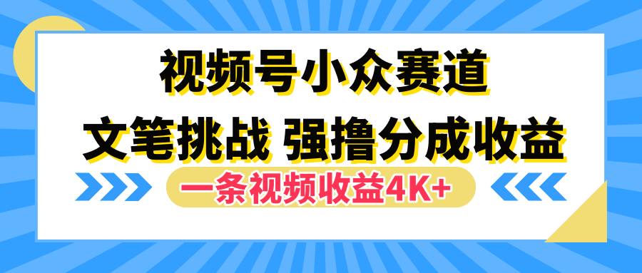 视频号小众赛道，文笔挑战，一条视频收益4K+_思维有课