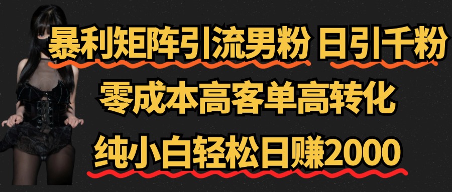 暴利矩阵引流男粉（日引千粉），零成本高客单高转化，纯小白轻松日赚2000+_思维有课