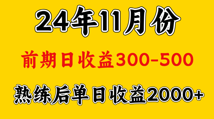 轻资产项目，前期日收益500左右，后期日收益1500-2000左右，多劳多得_思维有课