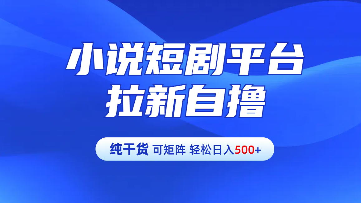 【纯干货】小说短剧平台拉新自撸玩法详解-单人轻松日入500+_思维有课