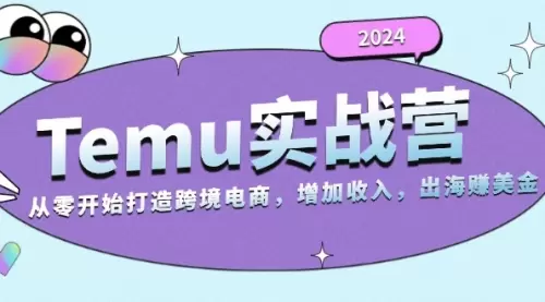 2024Temu实战营：从零开始打造跨境电商，增加收入，出海赚美金_思维有课