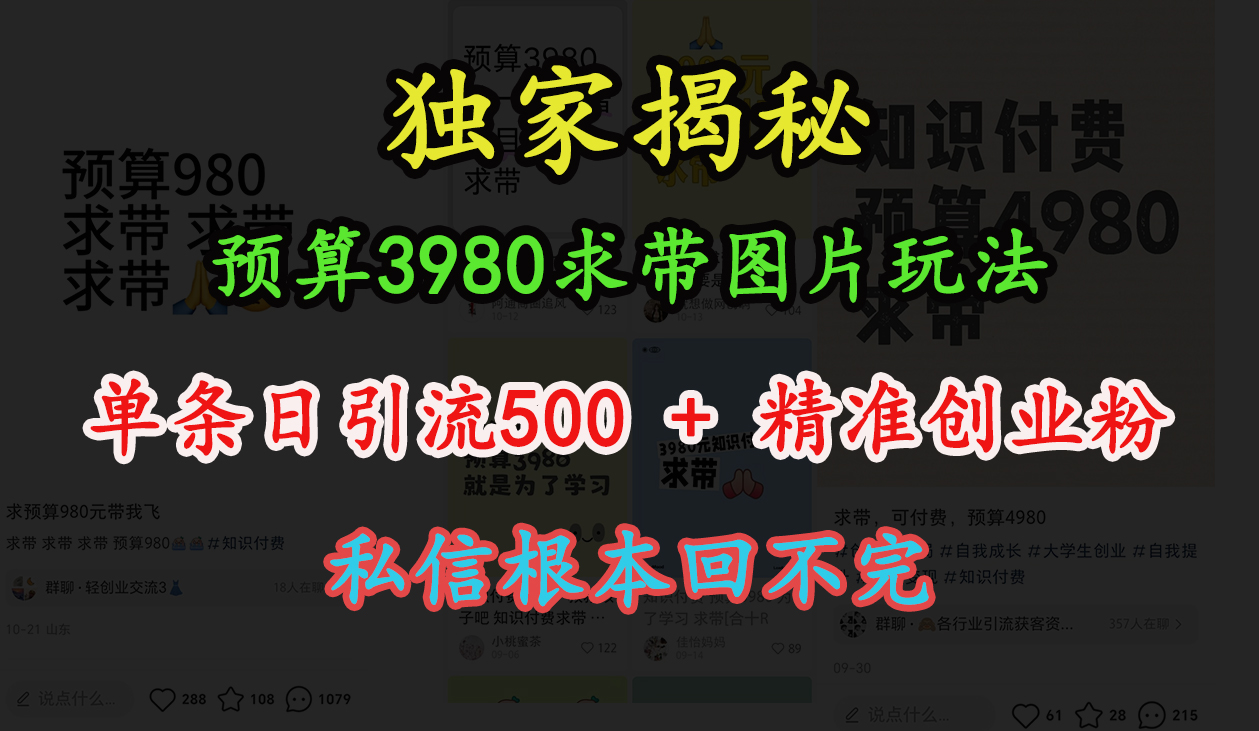 “小红书”预算3980求带 图片玩法，单条日引流500+精准创业粉，私信根本回不完_网创工坊