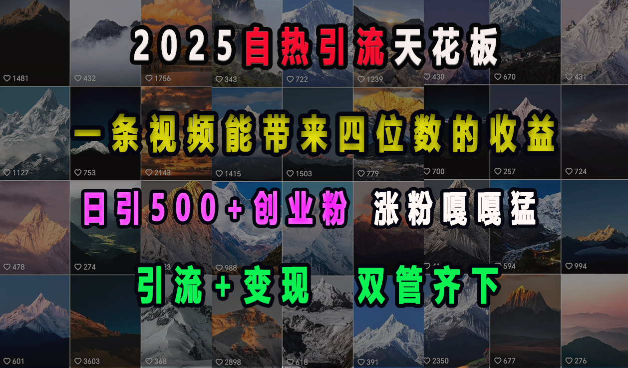 2025自热引流天花板，一条视频能带来四位数的收益，引流+变现双管齐下，日引500+创业粉，涨粉嘎嘎猛_网创工坊