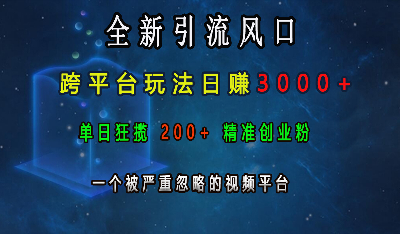 全新引流风口，跨平台玩法日赚3000+，单日狂揽200+精准创业粉，一个被严重忽略的视频平台_网创工坊