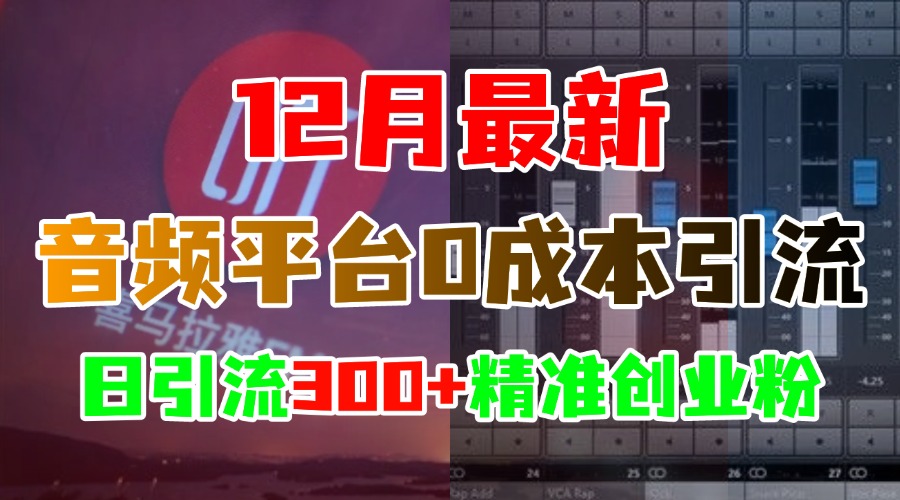 12月最新：音频平台0成本引流，日引300+精准创业粉_网创工坊