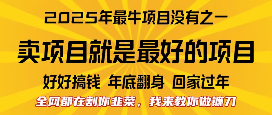 全网都在割你韭菜，我来教你做镰刀。卖项目就是最好的项目，2025年最牛互联网项目_网创工坊