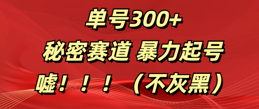 单号300+  秘密赛道 暴力起号  （不灰黑）_网创工坊