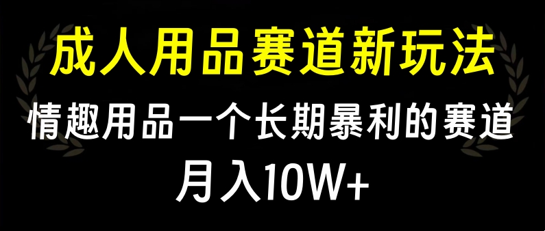 大人用品赛道新玩法，情趣用品一个长期暴利的赛道，月入10W+_网创工坊