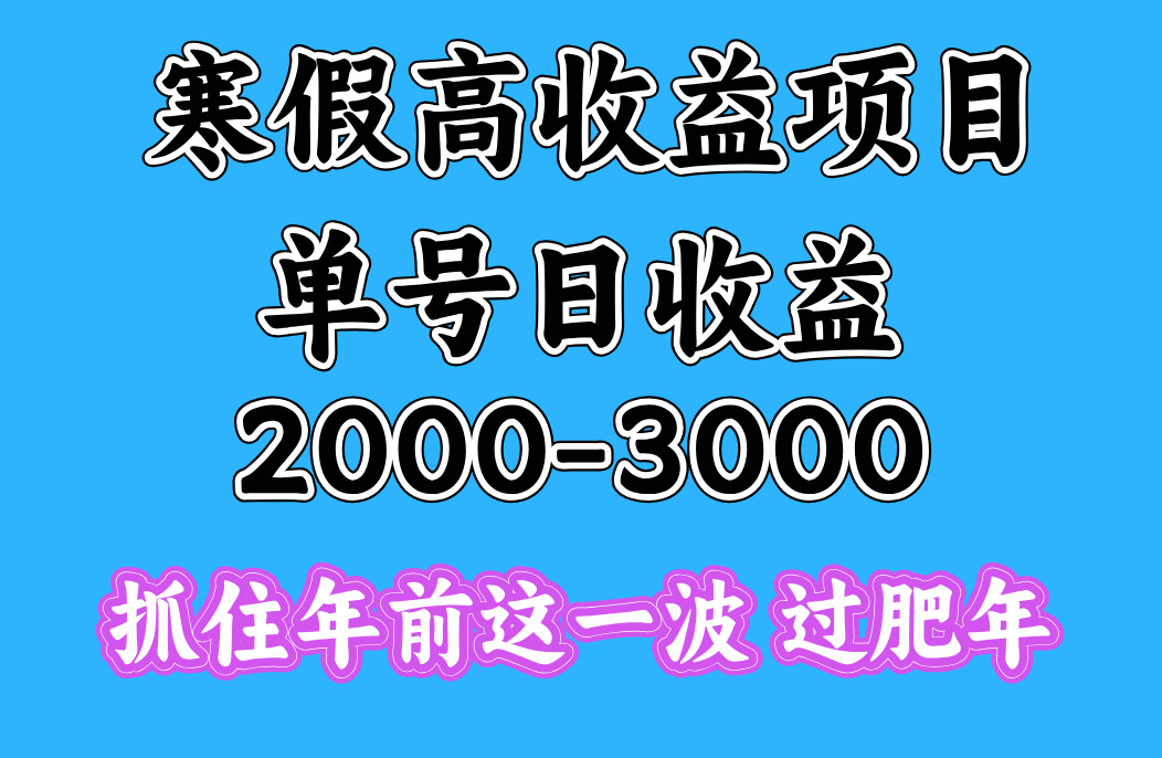 寒假期间一天收益2000-3000+，抓住年前这一波_网创工坊