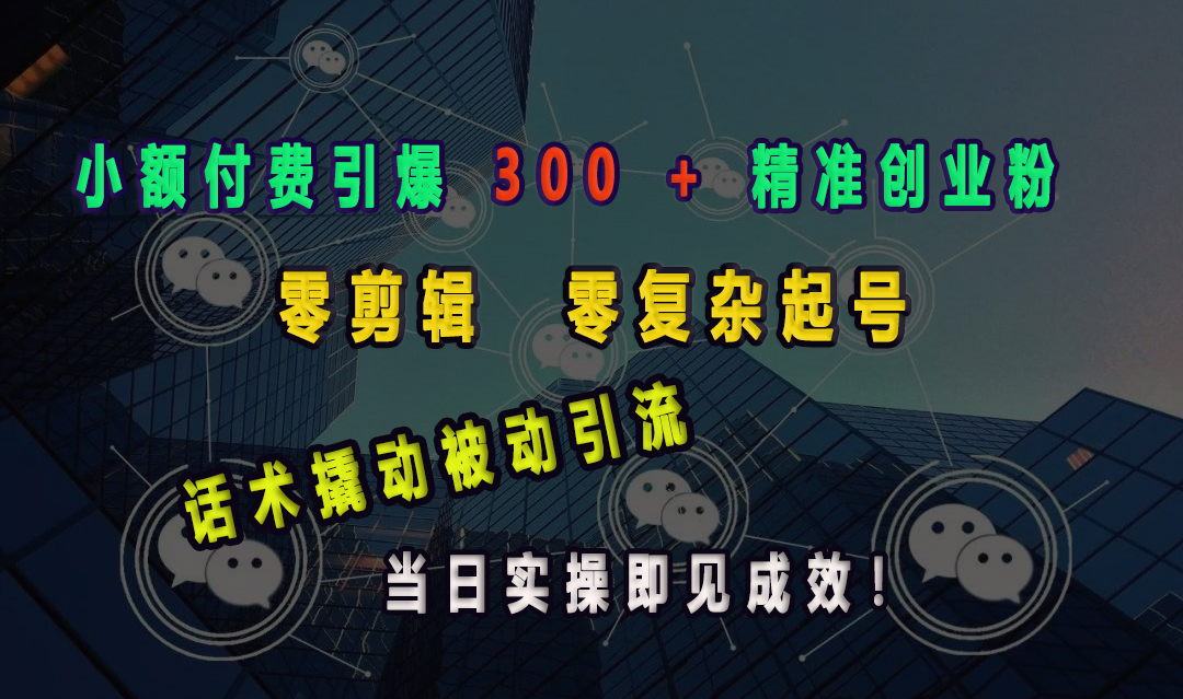 小额付费引爆 300 + 精准创业粉，零剪辑、零复杂起号，话术撬动被动引流，当日实操即见成效！_网创工坊