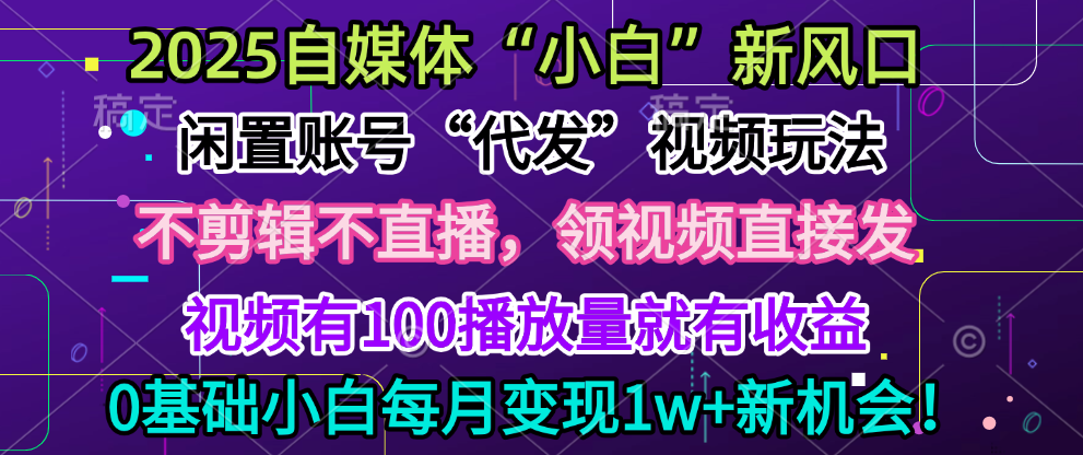 2025每月躺赚5w+新机会，闲置视频账号一键代发玩法，0粉不实名不剪辑，领了视频直接发，0基础小白也能日入300+_网创工坊