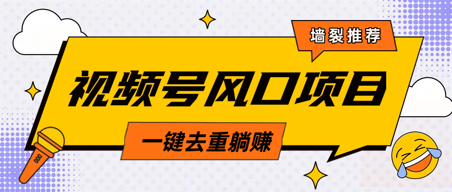 视频号风口蓝海项目，中老年人的流量密码，简单无脑，一键去重，轻松月入过万_网创工坊