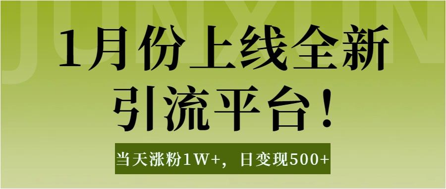 1月上线全新引流平台，当天涨粉1W+，日变现500+工具无脑涨粉，解放双手操作简单_网创工坊