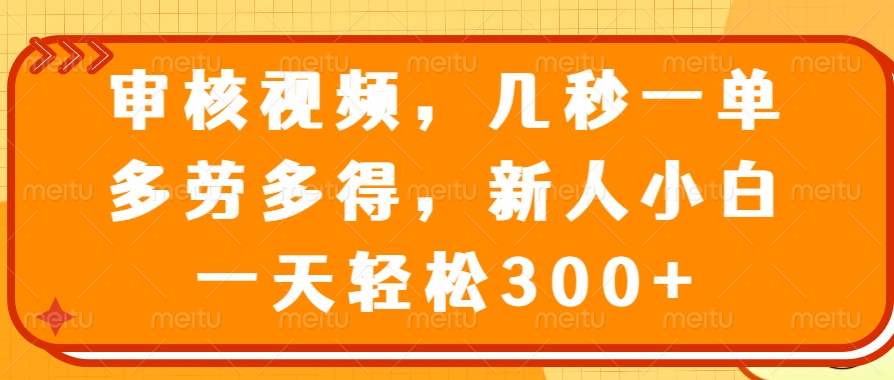 审核视频项目，几秒一单，多劳多得，新人小白一天轻松300+_网创工坊