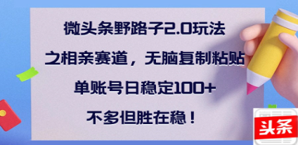 全网首发微头条野路子2.0玩法之相亲赛道，无脑搬砖复制粘贴，单账号日稳定300+保姆级教程_网创工坊