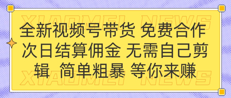 全新视频号 免费合作 佣金次日结算 无需自己剪辑_网创工坊