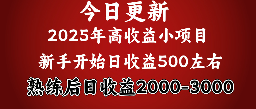 2025开年好项目，新手日收益500+ 熟练掌握后，日收益平均2000多_网创工坊