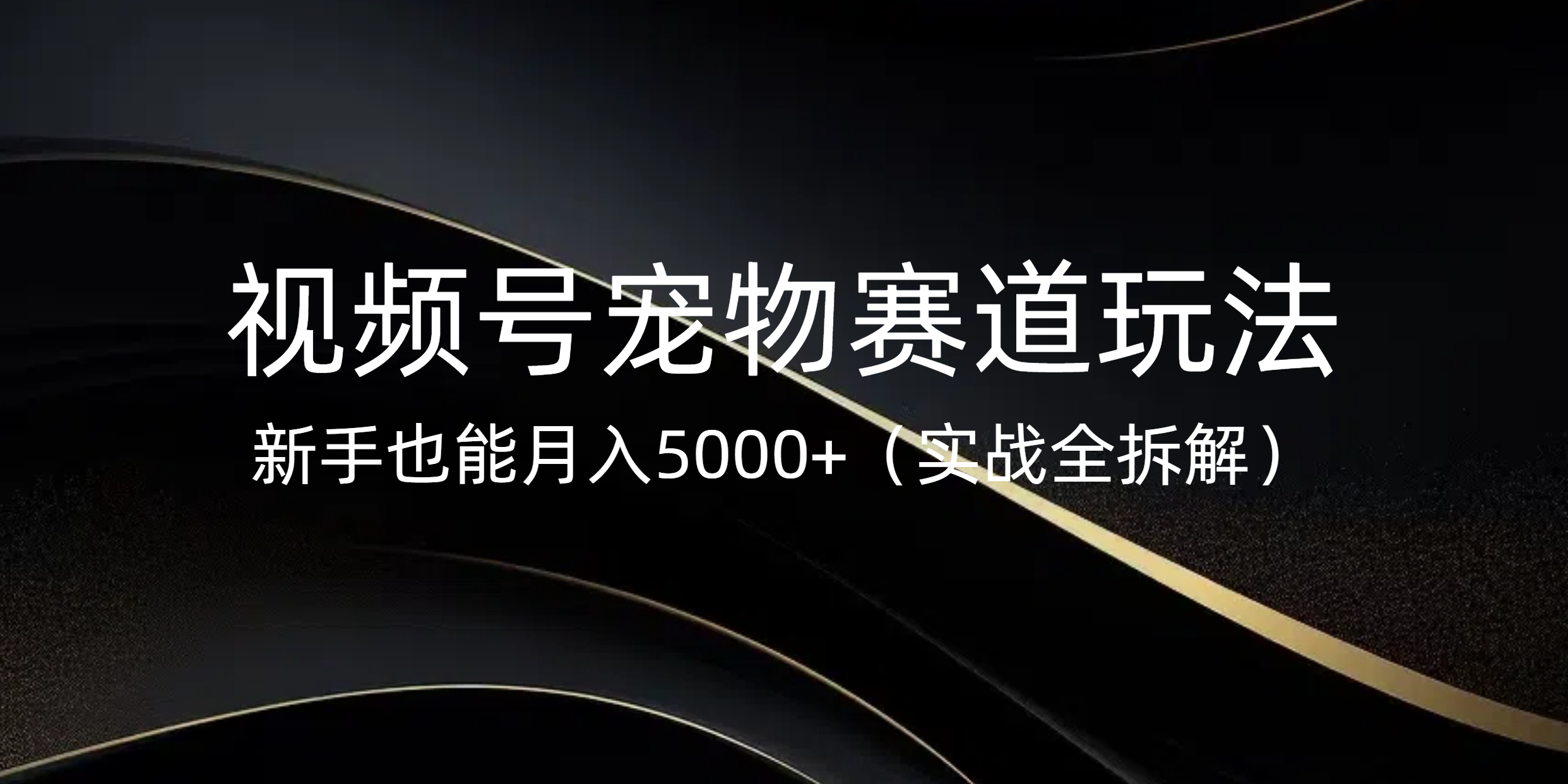 视频号宠物赛道玩法，新手也能月入5000+（实战全拆解）_网创工坊