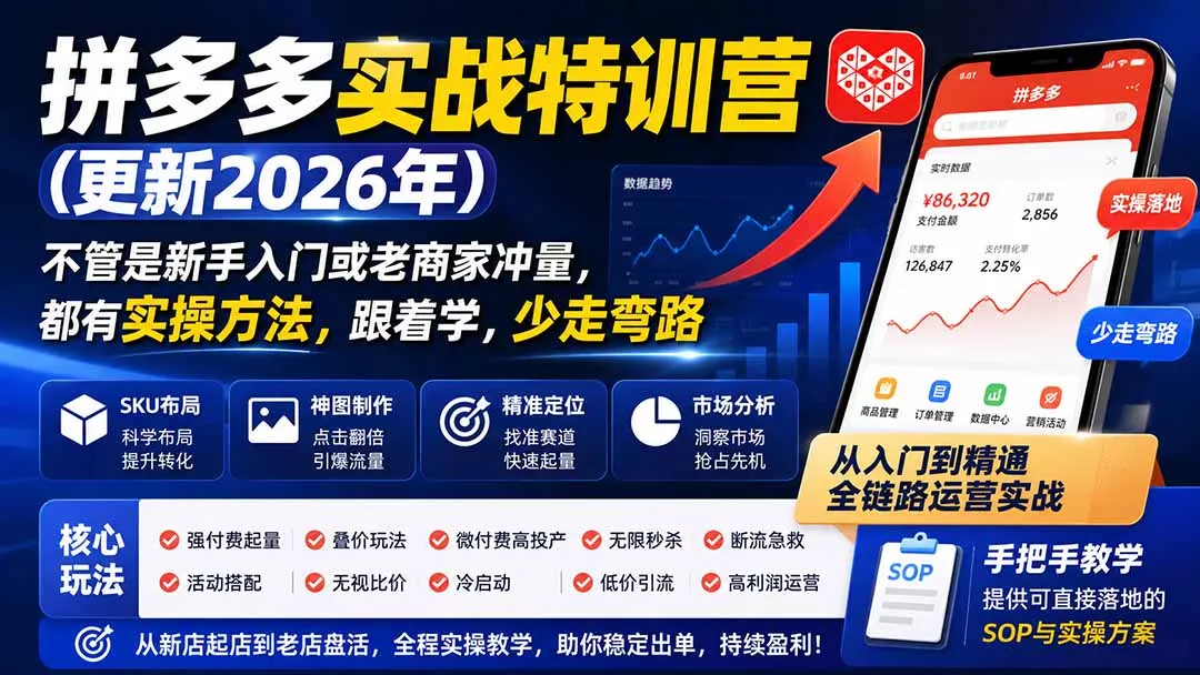 拼多多实战特训营(更新26年0822-知峰社